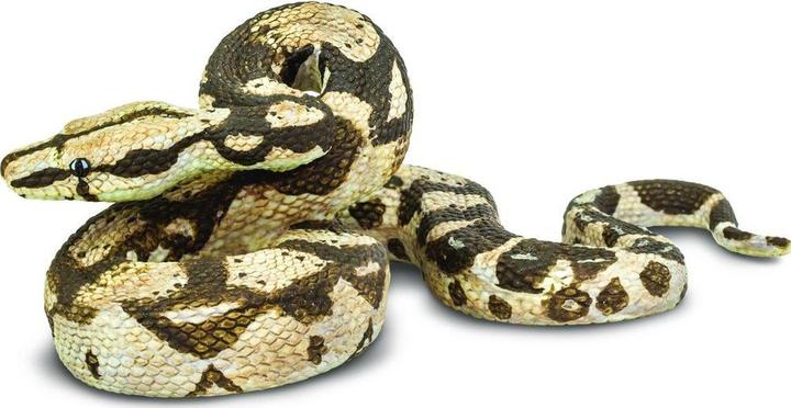 Produktbild Safari Boa Constrictor