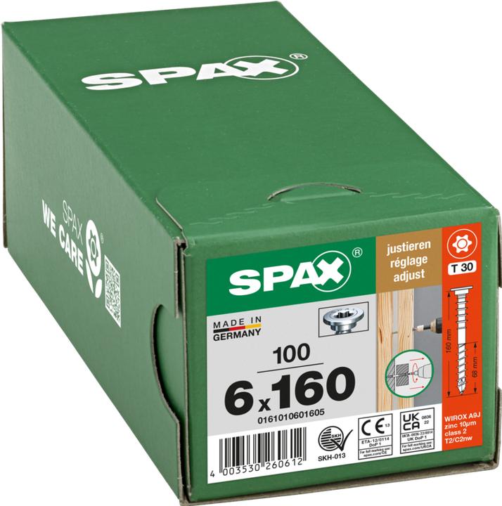 Actual product image Spax Adjustment screws (100 Screws per piece)