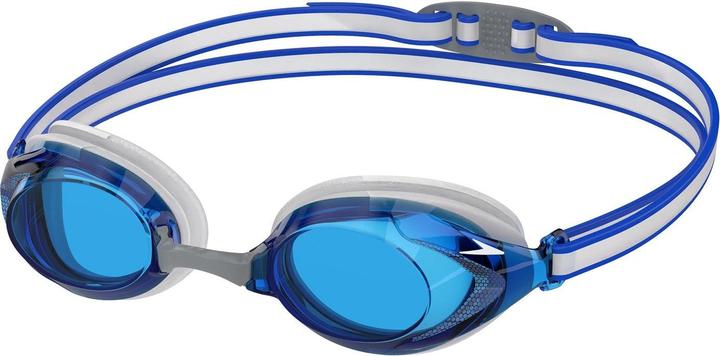 Speedo Vanquisher 3.0 Brille (One Size)