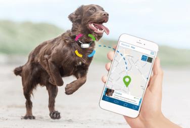 Immagine prodotto Prothelis Sistema di localizzazione Greta (Cavallo, Cane)