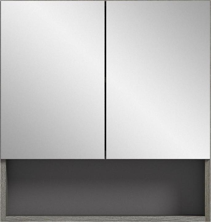 Produktbild Xonox Home Spiegelschrank Silver (60 x 16 cm)