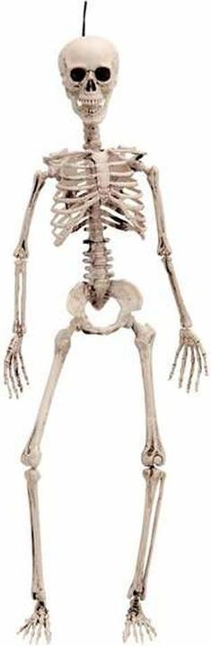 Produktbild My Other Me Halloween-Dekoration 120 cm Skelett