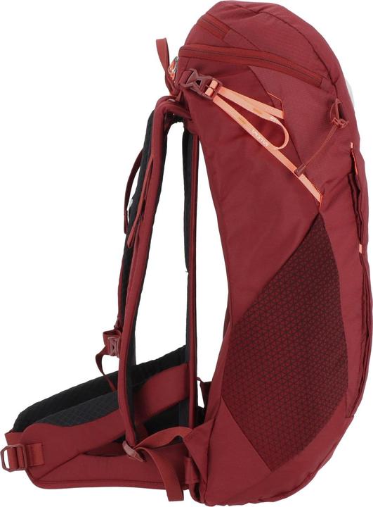 Produktbild Salewa Alp Trainer L Rucksack Da (20 l)