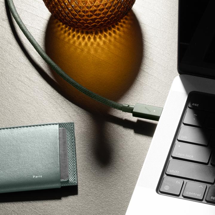 Image du produit Native Union USB C – USB C (2.40 m, USB 2.0, 240 W)