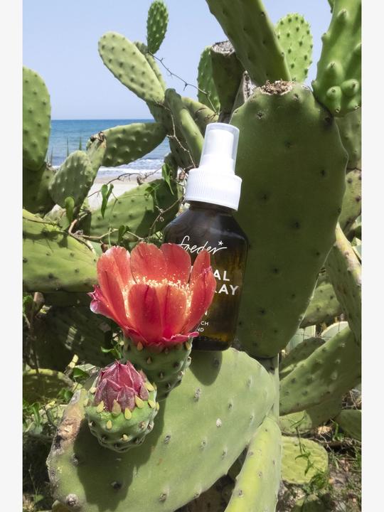 Actual product image Soeder* Natural Face Spray (100 ml, Face mist)