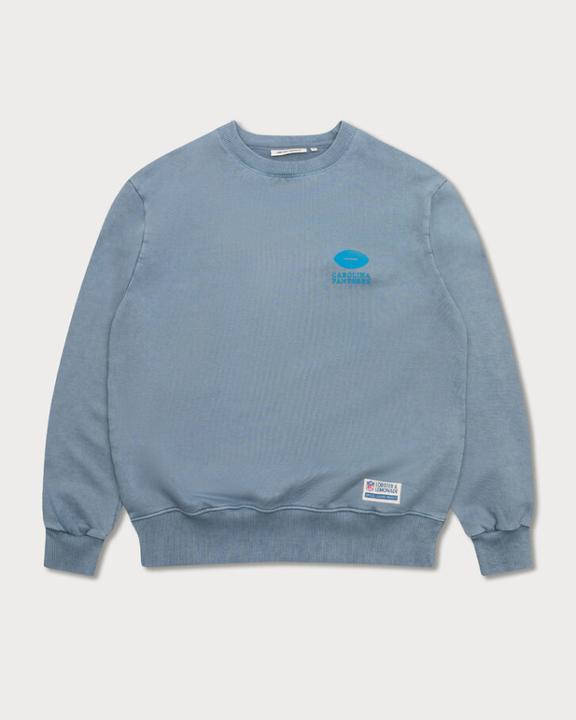 Actual product image Lobster & Lemonade Carolina Panthers 96 Box Sweater gray L (L)