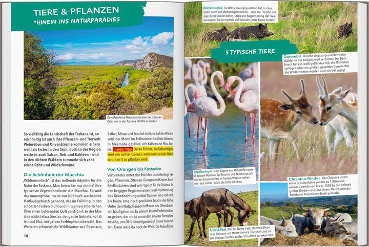 Actual product image OUTDOOR GUIDE Reiseführer Toskana (German, Maximilian Flesch Hat, 2025)