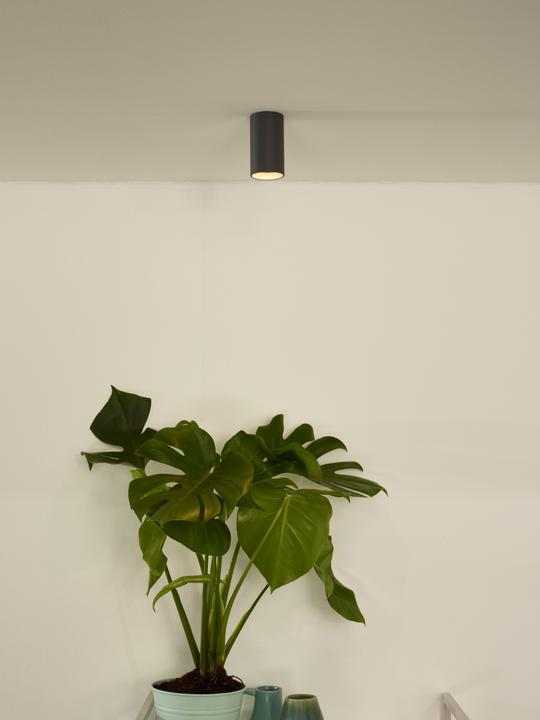 Immagine prodotto Lucide Delto (320 lm, GU10)