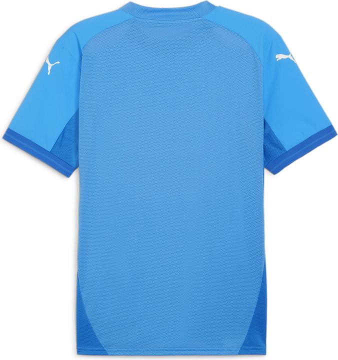 Actual product image Puma teamFINAL Jersey (M)