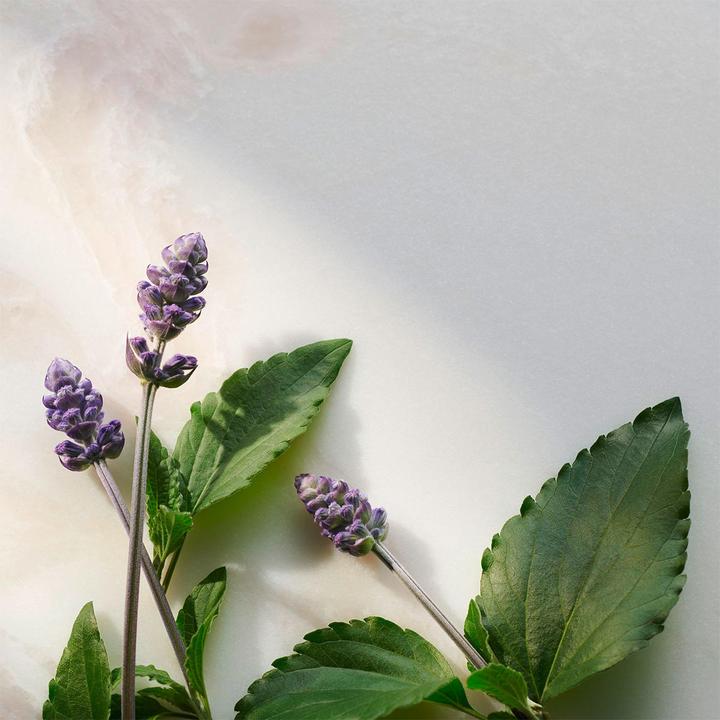Immagine prodotto Rituals Il rituale del Namaste (Set per la cura del viso)