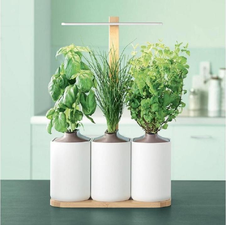 Produktbild Prêt à Pousser Lilo
