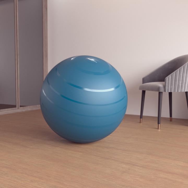 Image du produit Domyos Gym Ball (75 cm)