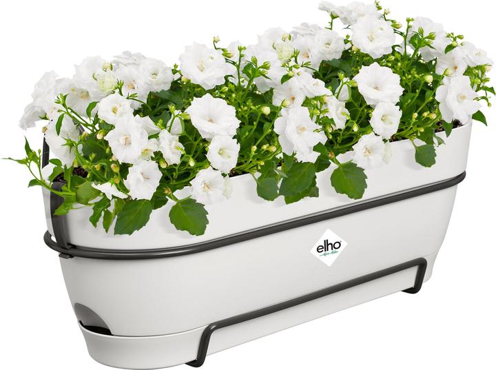 Produktbild Elho Vibia Campana Balkonkasten Allin1 (26 cm)