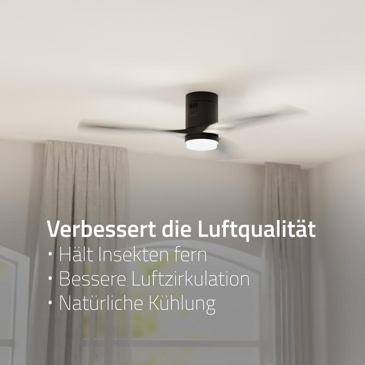 Productafbeelding Hombli Deckenventilator mit Licht (43 dB)