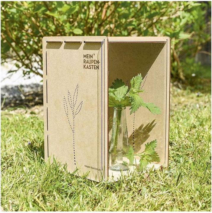 Image du produit Mein Raupenkasten Boîte à chenilles (Papillons)