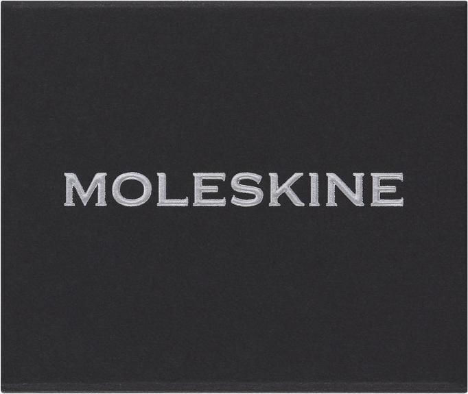 Actual product image Moleskine Pins Aquarius Gold (No binding)