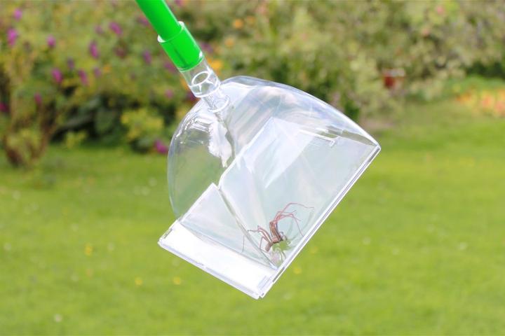 Produktbild Katcha Big Bug