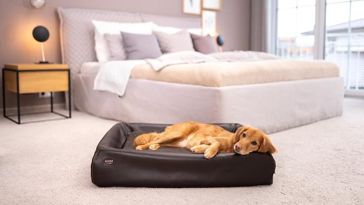 Produktbild Sabro Hundebett (Hund)
