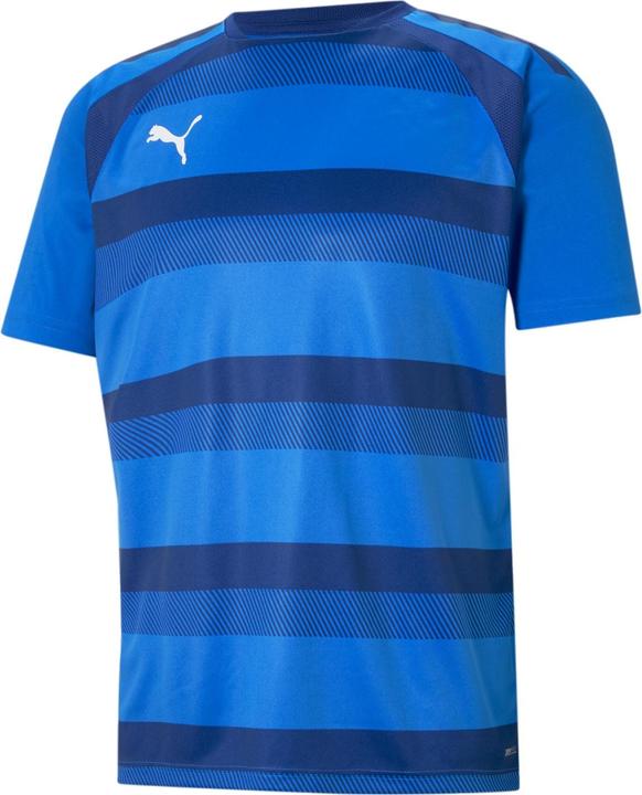 Actual product image Puma teamVISION Jersey-704921 (M)