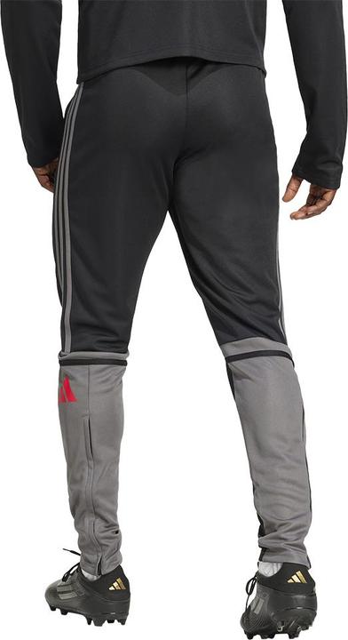 Actual product image adidas Squadra 25 training trousers (M)