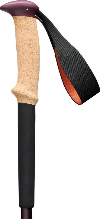 Actual product image Black Diamond Trekkingst?cke Trail Cork (anthrazit/orange, 1 Paar, 100-140 cm) (100 - 140 cm)