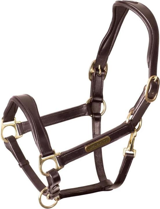 Immagine prodotto Velociti Rapida Pelle Cavezza per Cavallo