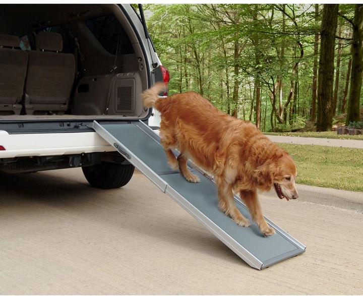 Actual product image PetSafe Happy Ride™ Telescoping Dog Ramp (Dog, Foldable)