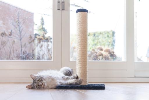 Image du produit Beeztees Mobilier pour chats (60 cm, Noir)