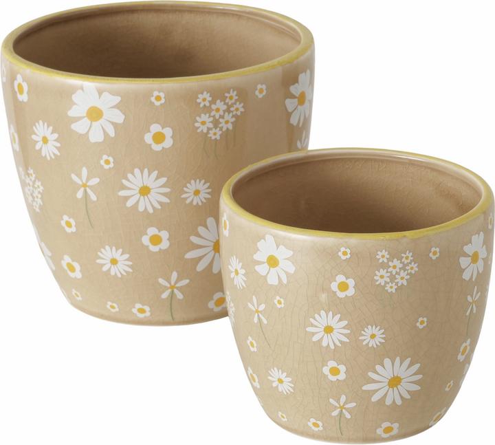 Immagine prodotto Boltze Home Miele