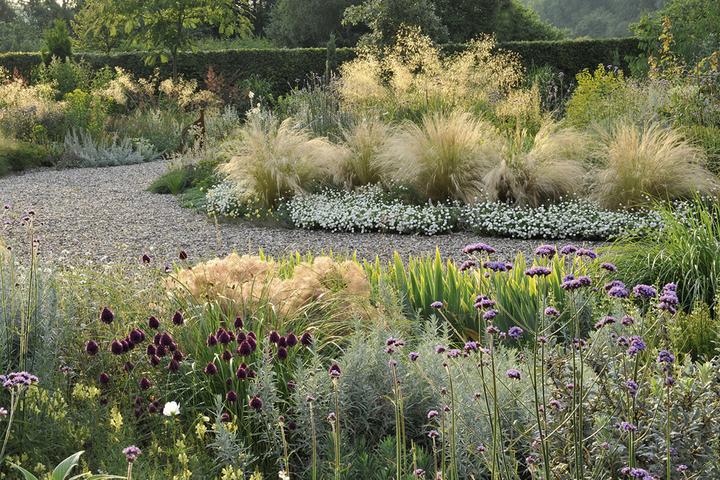 Produktbild Meine Vision wird Garten (Deutsch, Peter Janke, 2012)