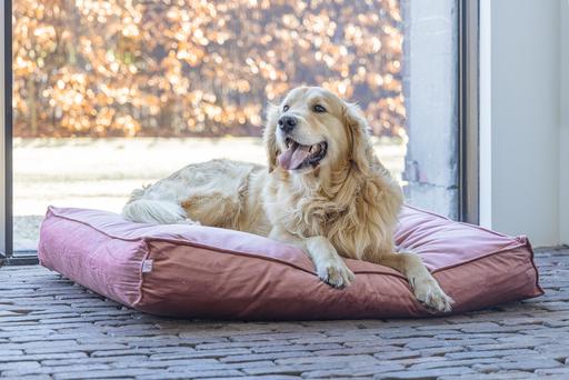 Actual product image Designed by Lotte Nalino (Dog)