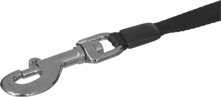 Actual product image Flexi New Classic L Belt 5m (L, Dog, Walks)
