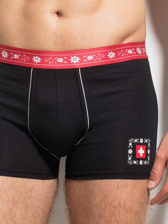 Immagine prodotto ISA Bodywear Panty Andy (L, Confezione singola)