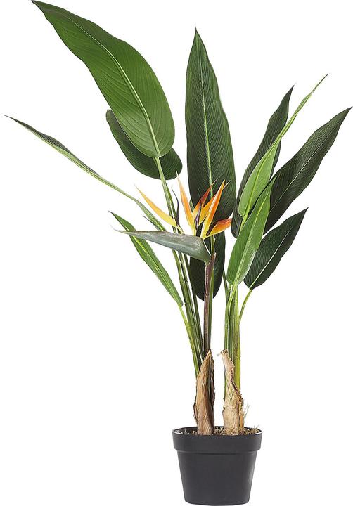 Produktbild Beliani Strelitzia Tree (115 cm)