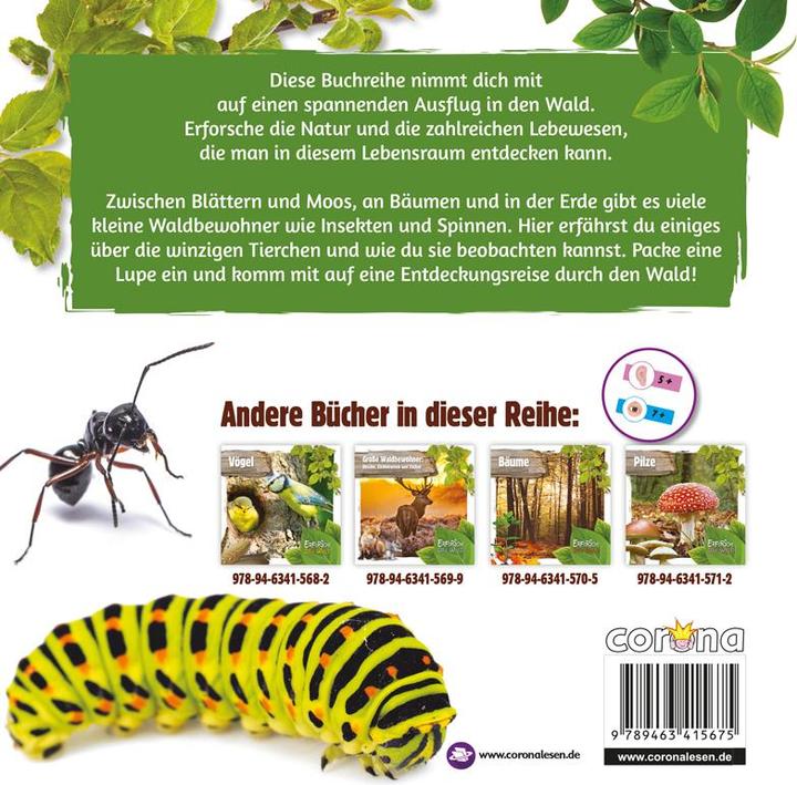Produktbild Kleine Waldbewohner: Insekten, Würmer und Schnecken (Deutsch, Englisch, Robin Twiddy, 2019)