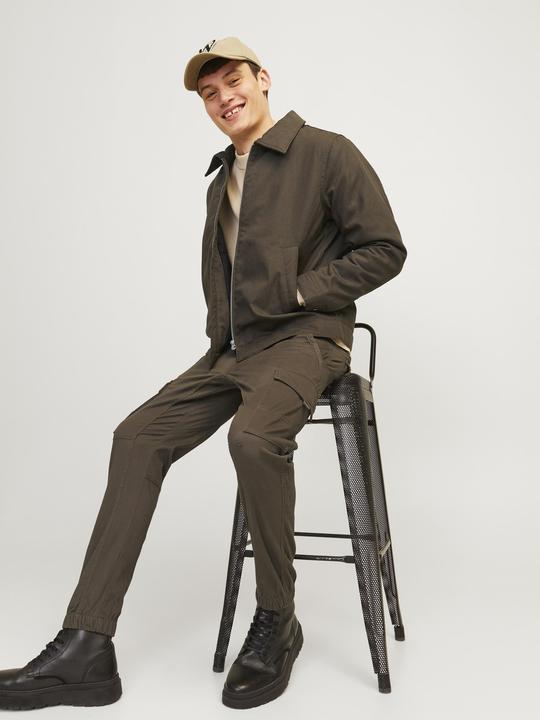 Actual product image Jack & Jones Jpstpaul Jjflake Cargo Noos (W31/L32)