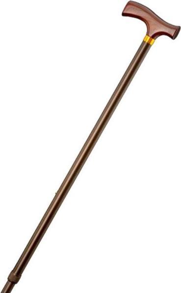 Actual product image Gastrock Walking stick with fritz handle bronze