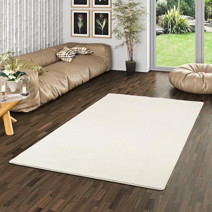 Produktbild Snapstyle Hochflor Luxus Velours Teppich Touch (80 x 400 cm)