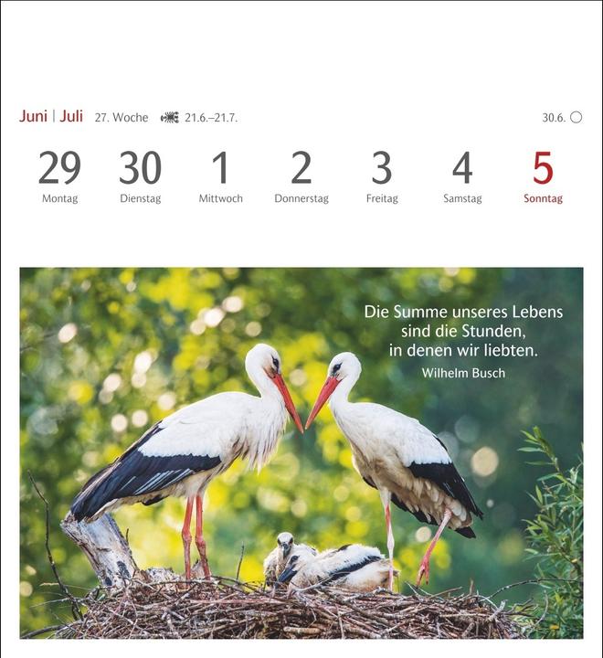 Produktbild Harenberg Momente des Glücks Postkartenkalender 2026 - Wochenkalender mit Zitaten, mit 53 Postkarte (Harter Einband, Deutsch)
