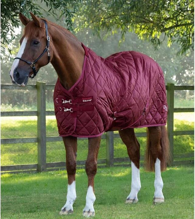 Produktbild Premier Equine Tuscan 200 g (152 cm)