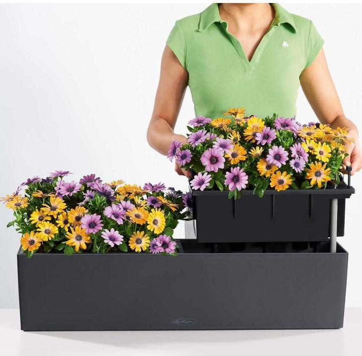 Produktbild Lechuza Balconera Color (19 cm)