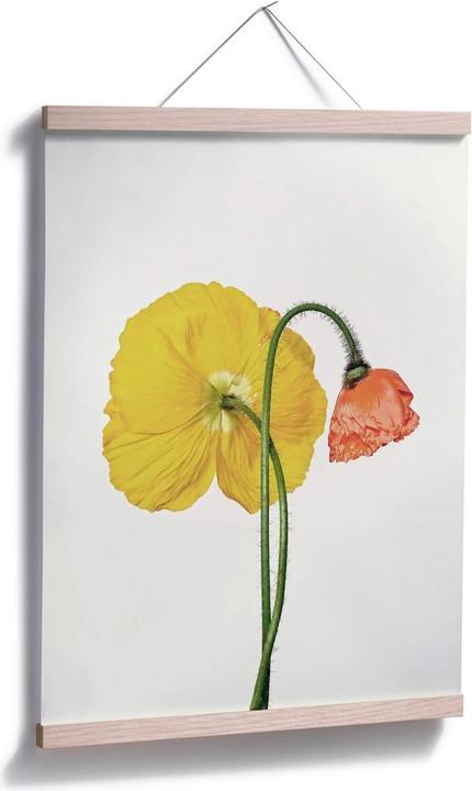 Actual product image Trenddeko The red and yellow flower (24 x 30 cm)