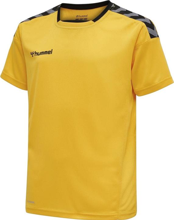 hummel Authentic Kids Poly Jersey S/S