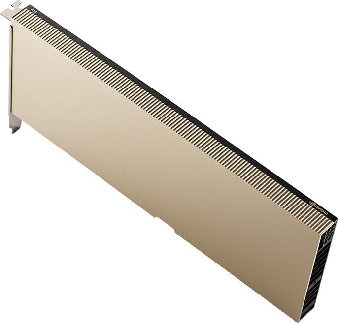 Produktbild PNY NVIDIA A10 MODULE 24GB (24 GB)