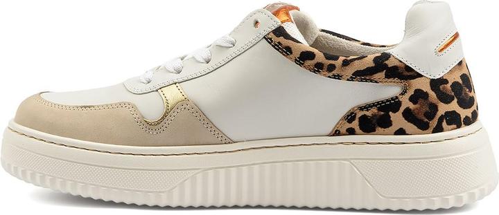 Image du produit Gabor 66-408 (37.5)