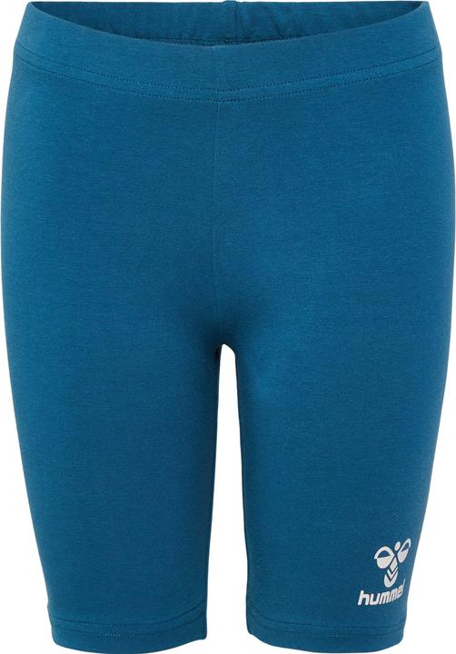 bluecorale