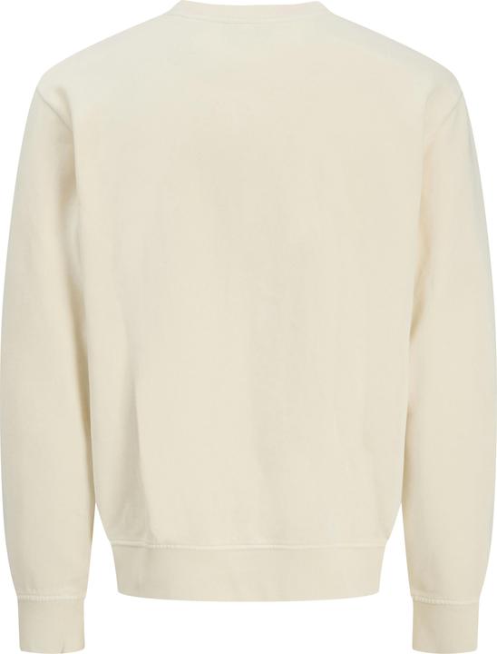 Immagine prodotto Jack & Jones Jjedover Print Sweat Crew Neck (XS)