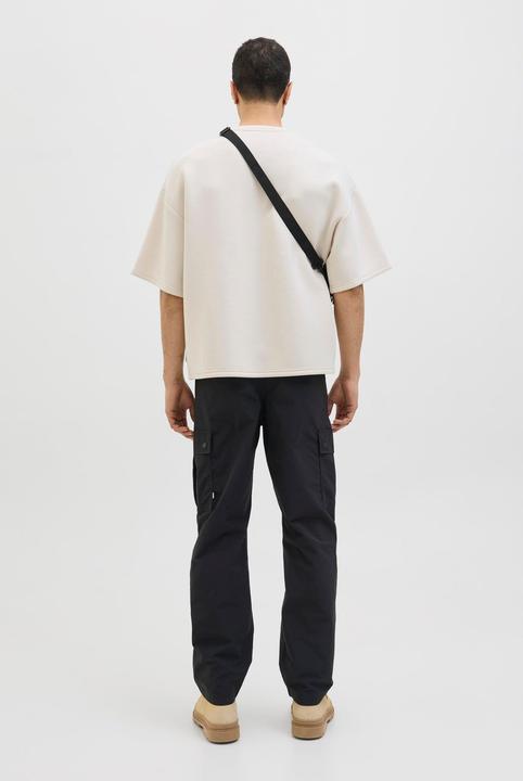 Actual product image Jack & Jones Loose Fit Loose Fit Hosen Loose Fit Hosen (W29/L30)