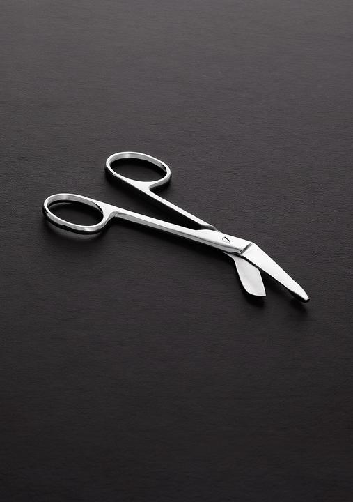 Steel Scissors