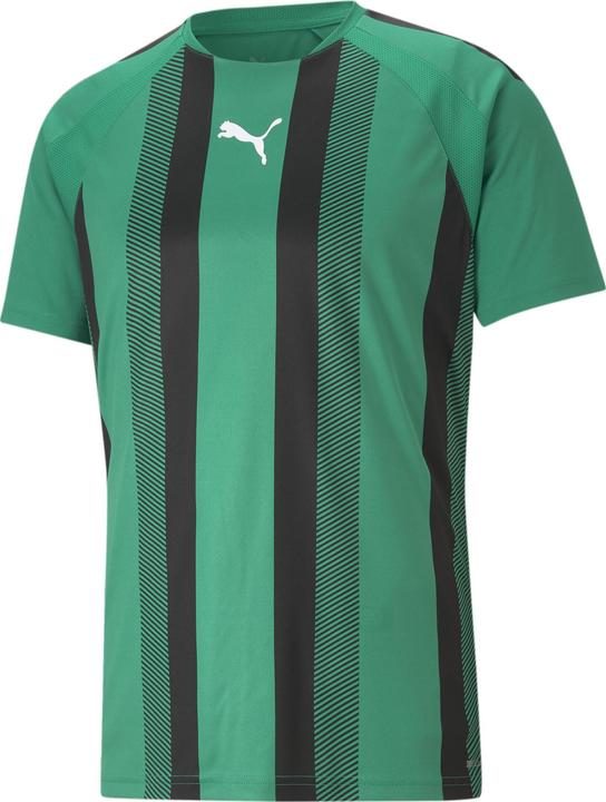 Puma Team Liga Striped (XS)